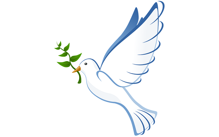 Dove With Olive Branch Meaning And Symbolism 
