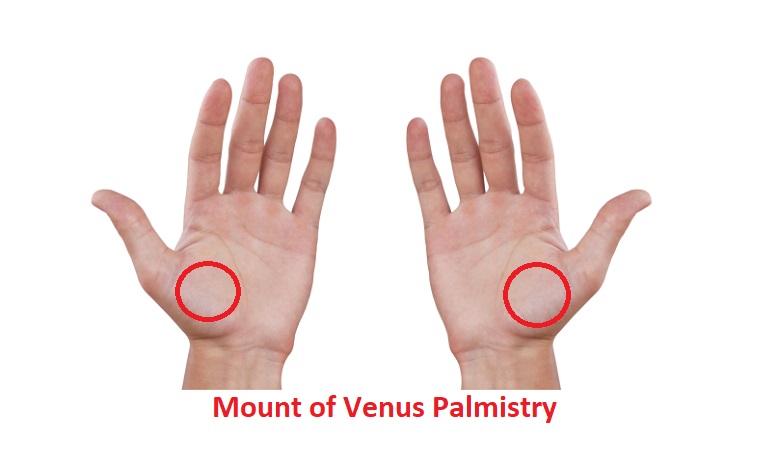 Mount Of Venus Palmistry Reading And Meaning