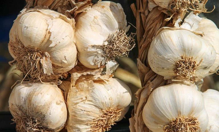 the-meaning-and-symbolism-of-the-word-garlic